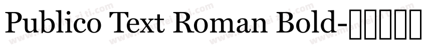 Publico Text Roman Bold字体转换